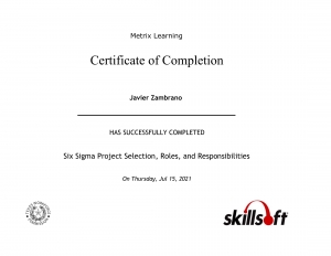 Six Sigma Project Selection, Roles, and Responsibilities