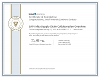 SAP Ariba Supply Chain Collaboration Overview