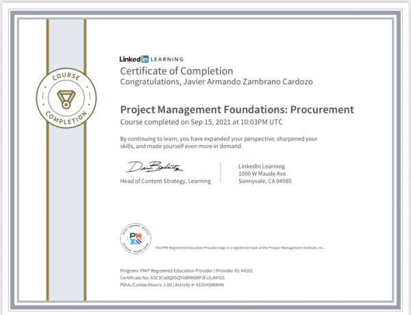 Project Management Foundations - Procurement